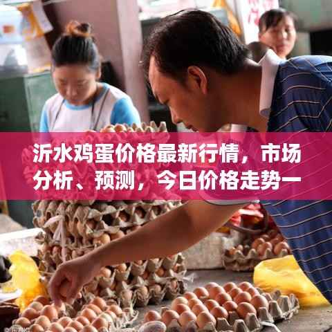 沂水鸡蛋价格最新行情,市场分析、预测,今日价格走势一网打尽!