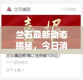 兰石最新动态揭秘,今日消息一网打尽!