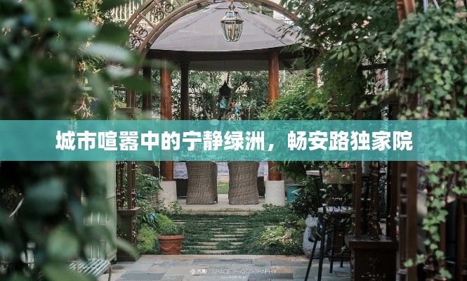 城市喧嚣中的宁静绿洲,畅安路独家院