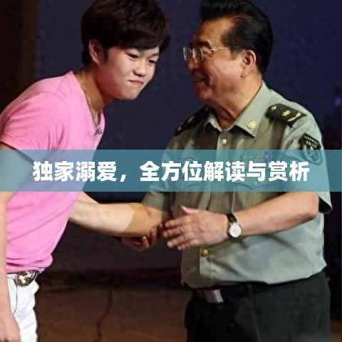 独家溺爱,全方位解读与赏析