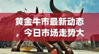 黄金牛市最新动态,今日市场走势大揭秘!