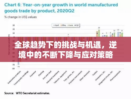 全球趋势下的挑战与机遇,逆境中的不断下降与应对策略