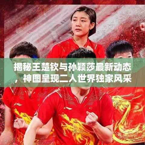 揭秘王楚钦与孙颖莎最新动态,神图呈现二人世界独家风采