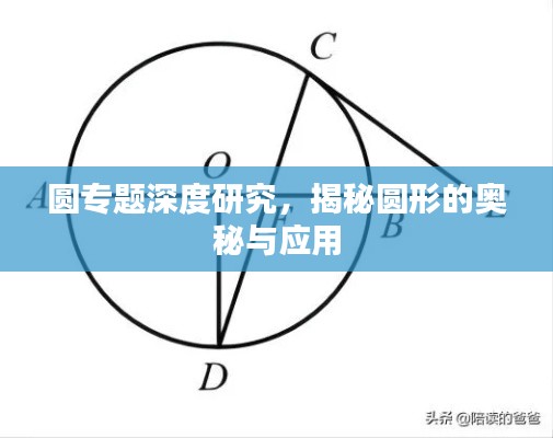 圆专题深度研究,揭秘圆形的奥秘与应用