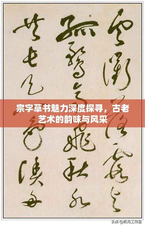 宗字草书魅力深度探寻,古老艺术的韵味与风采