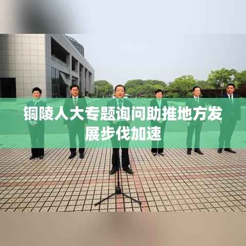铜陵人大专题询问助推地方发展步伐加速