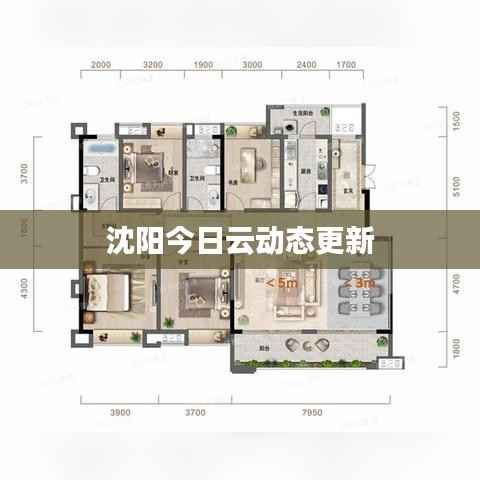 沈阳今日云动态更新